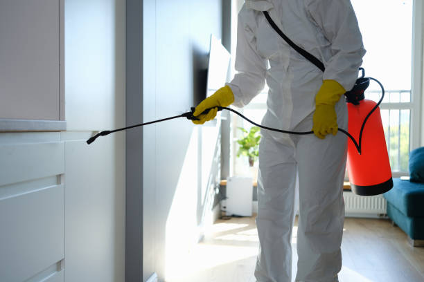 Mold Odor Removal Services in Falling Waters, WV